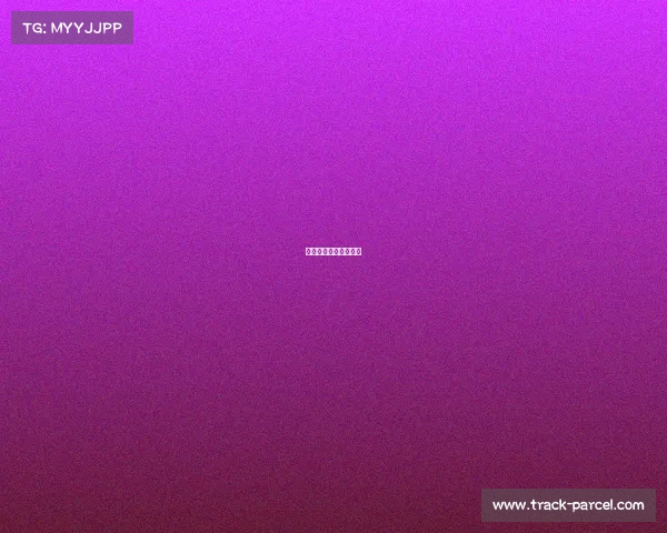 网球赛事影响因素分析